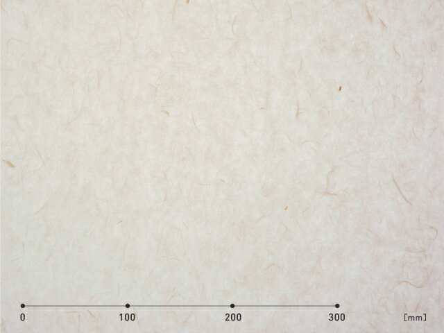 中川ケミカル　タフカル 半透明タイプ　S4602C プリムラ／1010mm幅×50cm単位（切り売り）