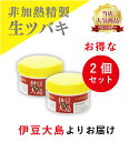 伊豆大島の生ツバキ油ハンドクリーム 60g 「2個セット」 保湿クリームとしてお顔 お肌 かかとなど全身にお勧めです。 椿オイル ハンドクリーム 手荒れ プレゼント 椿油 ツバキ油 ハンドケア 保湿クリーム 全身 顔 かかとケア メンズ 男性 ギフト 女性 送料無料