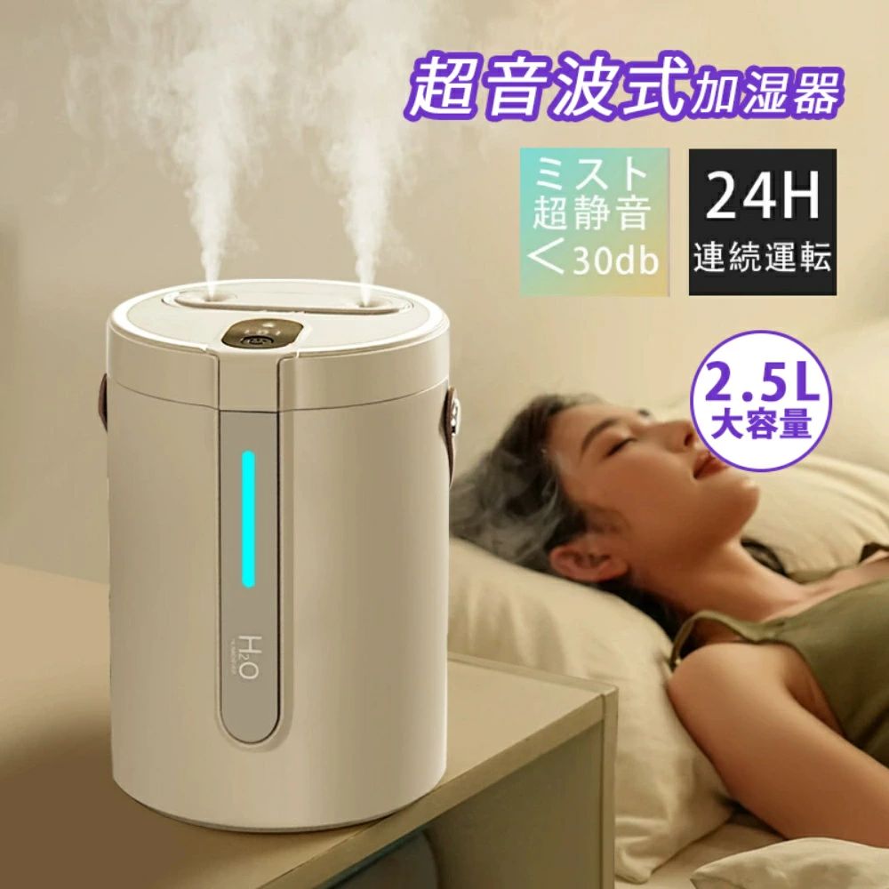 加湿器 大容量 2.5L 加湿器 卓上 超音波式 ミスト超静音 部屋 寝室 乾燥対策 卓上加湿器 かしつき ライト おしゃれ ダブル噴霧 USB お手入れ簡単 卓上 リビング 静音 省エネ 寝室 部屋 敬老の日プレゼント 男性 女性 父の日 母の日