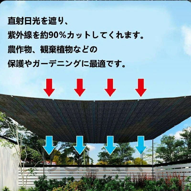 �����˥󥰥��󥷥����� �� ���󥷥����� ��� 8m 300��400cm ���ե�������ϥȥ� �������������� 200��300cm ϭ�� ������ �٥��� ����դ����ñ ���褱������ ���� �׸������� �������褱 �� �ܱ����ե��� �׸��ͥå� UV���å� 5m �������������� 6m