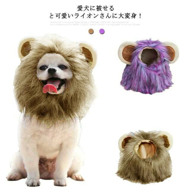 �ڥå� �淿�� ���Ƥ��� ˹�� �������塼�� ���ʪ ǭ ���� ���դ� �ϥ������� ˹�� �ڥå��� �����ץ� �ɥå������� �夰��� ���� �ͤ� �ѡ��ƥ��� ��...