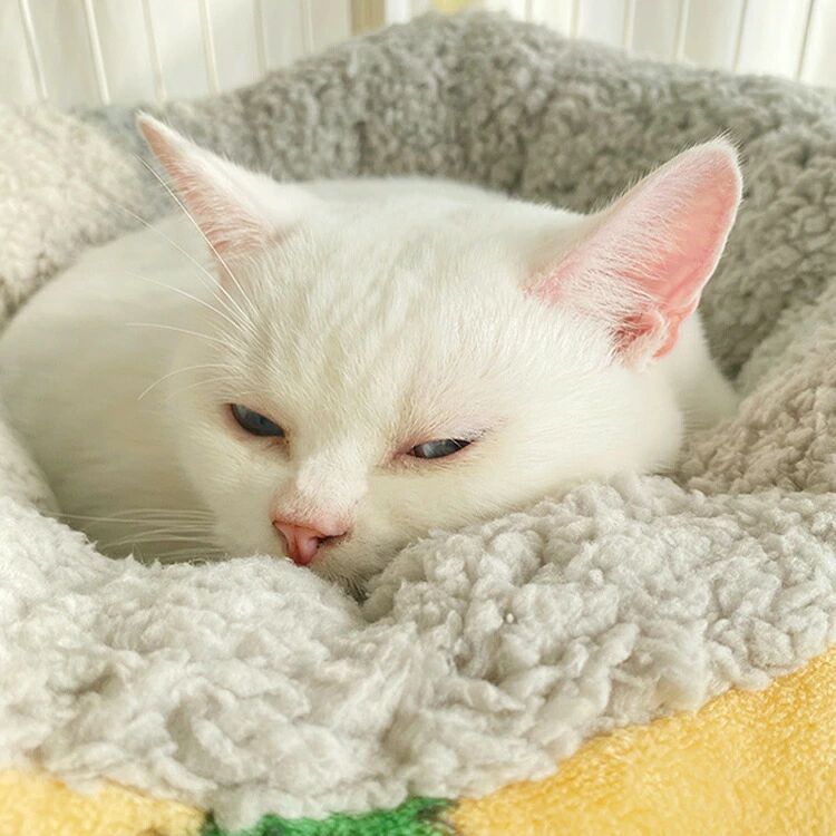 吊り下げ おしゃれ 耐荷重強い 保温 人気 持ち運び便利 防寒 L 暖かい ケージ用 裏起毛 安定感 寒さ対策 ペット用品 もこもこ 洗える 長さ調整可能 軽量 ふわふわ 多機能 ストラップ ハンモック M ぐっすり眠れる 猫