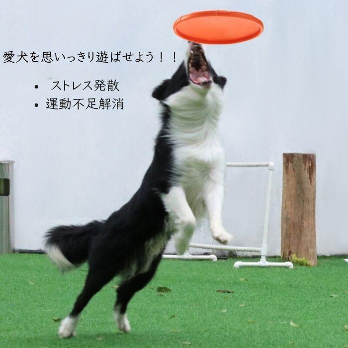 CW storeの犬 フリスビー 15cm おもちゃ 小型犬 中型犬 シリコン ソフト 運動 アジリティ ペット用品 6カラー アウトドア 投げるおもちゃ 遊び｜アングル2