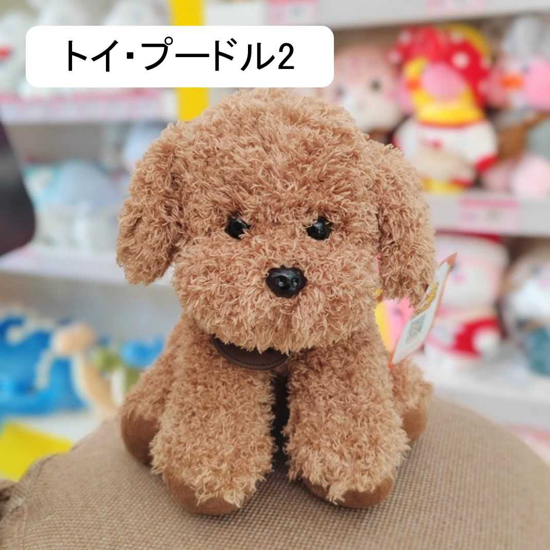 シュナウザー ハスキー ぬいぐるみ 犬 ゴールデン 小さい トイプードル 抱き枕 柔らかい触感 ぬいぐるみ 縫い包み 気持ちいい抱き枕 キュート 癒される 可愛い 動物 誕生日プレゼント 贈り物ギフト 3
