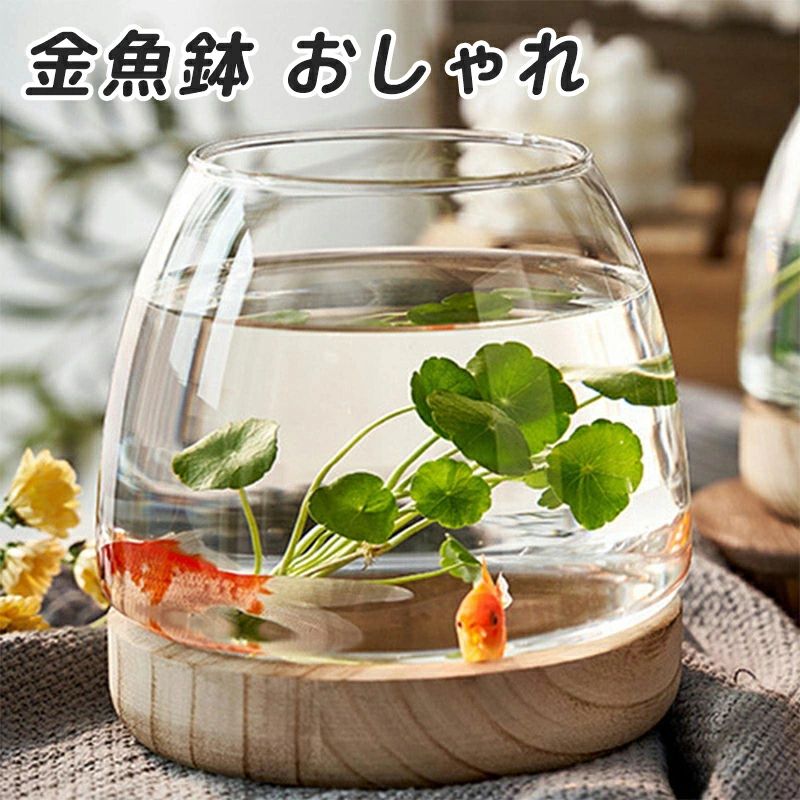 溢流槽 - 金魚鉢 おしゃれ 金魚 メダカ 水槽 室内 容器 鉢 ミニ水槽 ガラス金魚鉢 ガラス花瓶 小さな水槽 金魚水槽 小さな丸い透明なガラス花瓶 観賞植物ホルダー 水耕植物花瓶 おしゃれ 小シンク おしゃれ ガラス 室内花瓶 創作卓上金魚鉢 家庭用