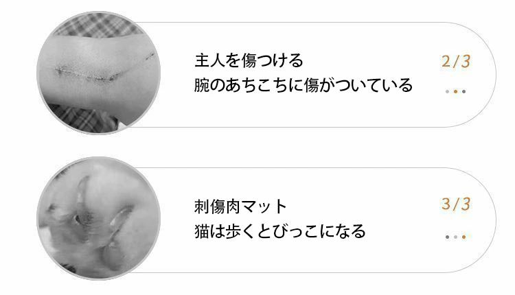 ǭ��L����������å��㡼 ����ܡ��� ������ ǭ �ͤ��ߤ� ���ʼ� ��������դ� �ޤȤ� ������� �ͥ� �޸��� �ʥܡ��� ���󥹥ȡ��뤬��ñ ǭ�� ��̤����� 40*25*60cm(��*��*�⤵) ǭ�Τ������