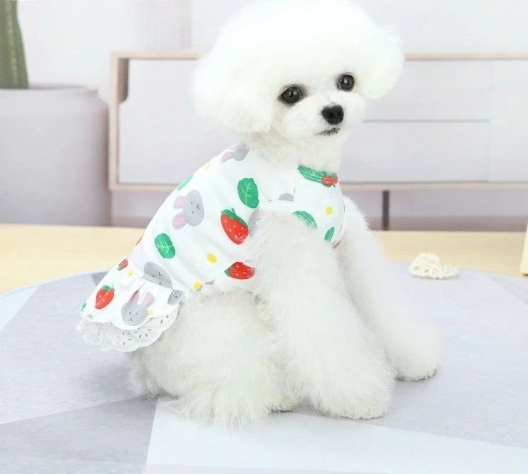 Custom-Made - フラワー 花 苺 犬用 おしゃれ フリル ウサギ 洋服 ノースリーブ 猫用 ドッグウェア 袖なし ワンピース プリント ペットウェア