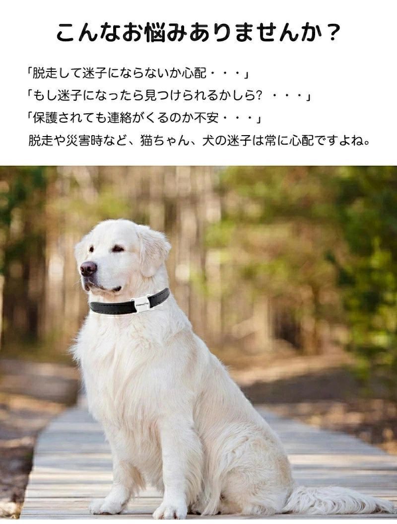 thum2