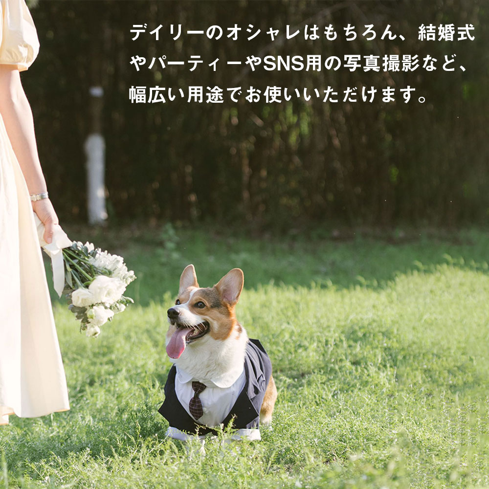 �̿��Ǥ� �ڥå� �������� ���� �ե����ޥ� ���� �С����ǡ� �ڥåȥ����� �淿�� ���������� �뺧�� �緿�� ���Ф��� �ѡ��ƥ��� �� ������ ���ᤫ�� ������ �ϡ��ͥ� ��ǰ�� �� �ͥ������դ� �ɥå�