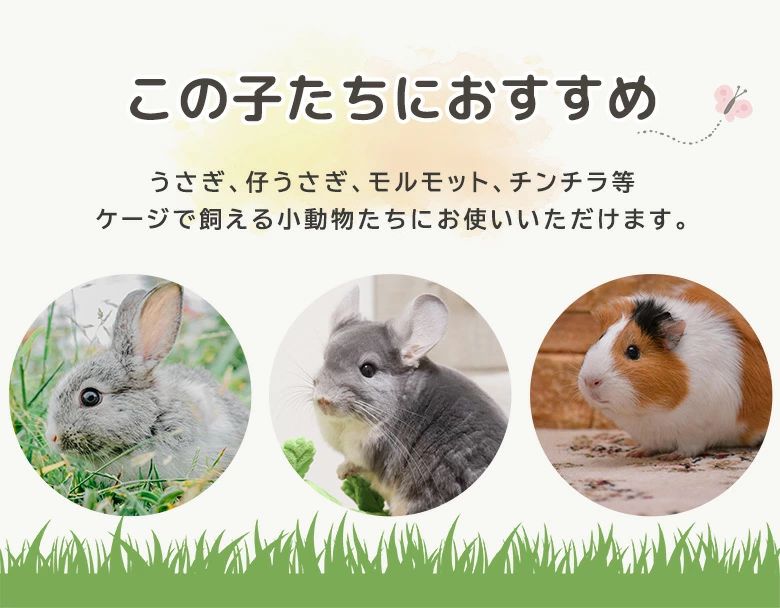 フェレット ナスカン 水洗い 胴 リード お出かけ 取り外し 留め具付き マジックテープ チンチラ お散歩 洗える 首 裏地付き かわいい モルモット うさぎ 迷子防止 小動物 調節 チェック ボーダー リボン 脱走防止 ペット用品 2点セット ハーネス 3