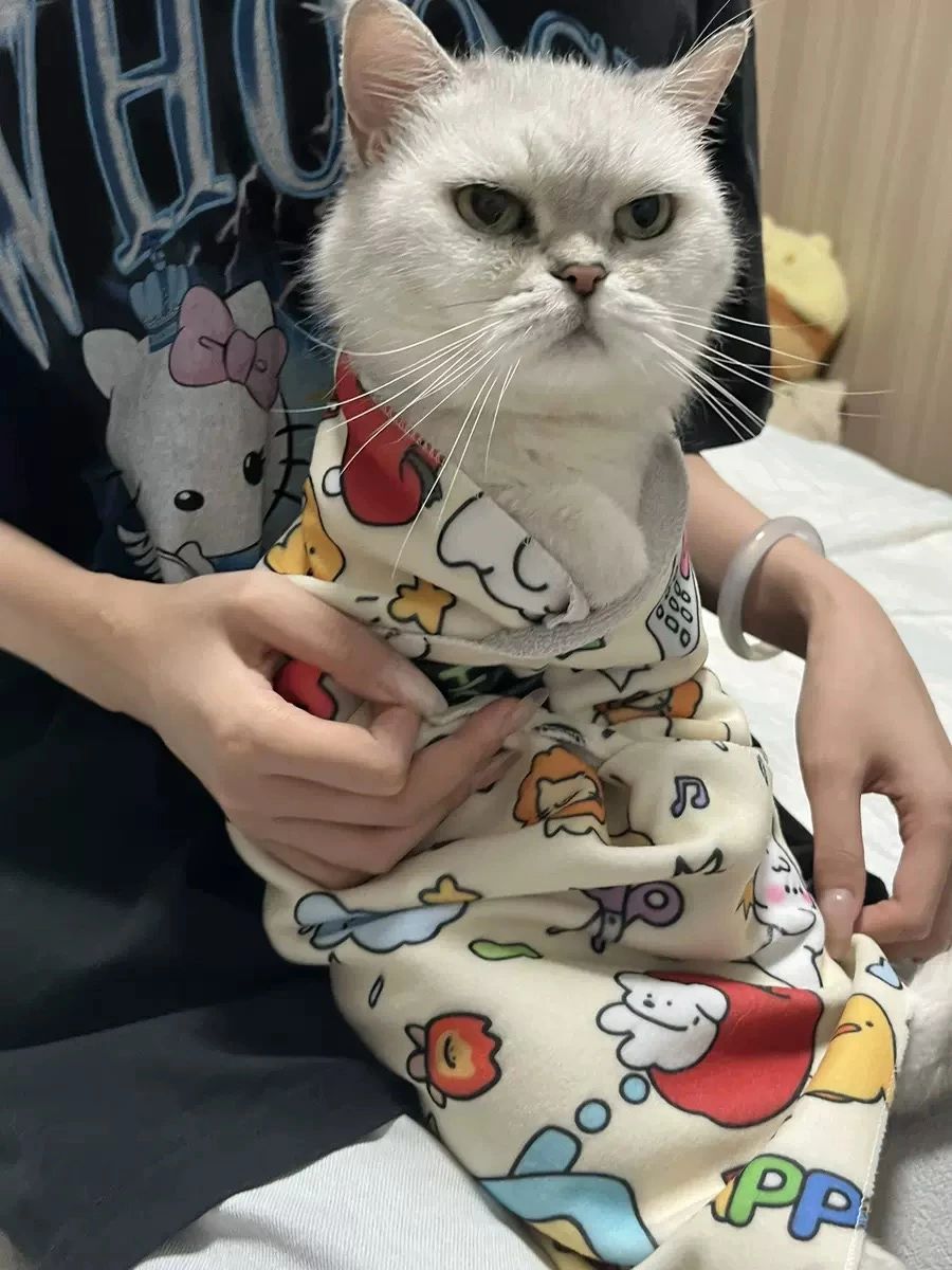 70��70cm ˽���ǭ������� ����Ǵ���� ���ݽ� �ݡ��� ��ñ ���äĤ������� ������ æ�� ��«�Хå� ǭ������ ǭ�����ڤ� ¿��ǽ æ���ɻ� ���᤭ ���� ���ä����ɻ� ���ڤ� �Хå� ǭ���롼�ߥ󥰥�å� ��� ǭ�ѥ�å� �ڥå� ǭ ���ߤĤ��ɻ�