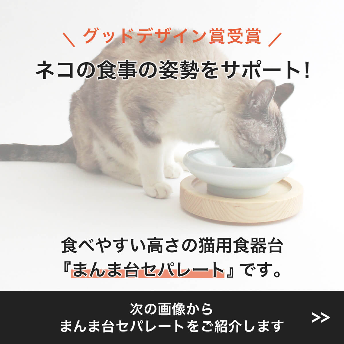 食器台 猫 まんま台 餌台 セパレート ハーフ ひっくり返らない 倒れない 子猫 シニア 日本製 国産 2