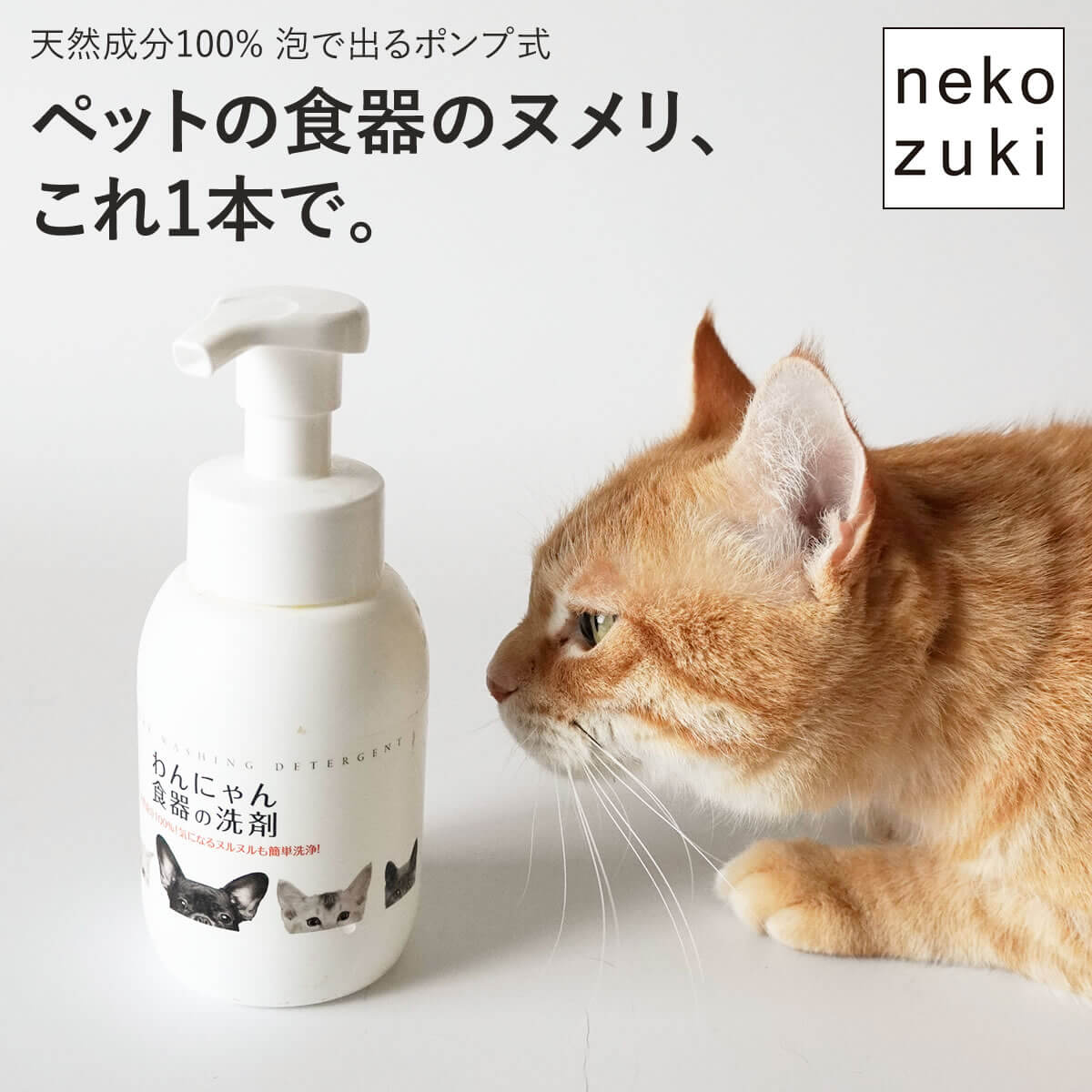 わんにゃん食器の洗剤 本体(300mL)