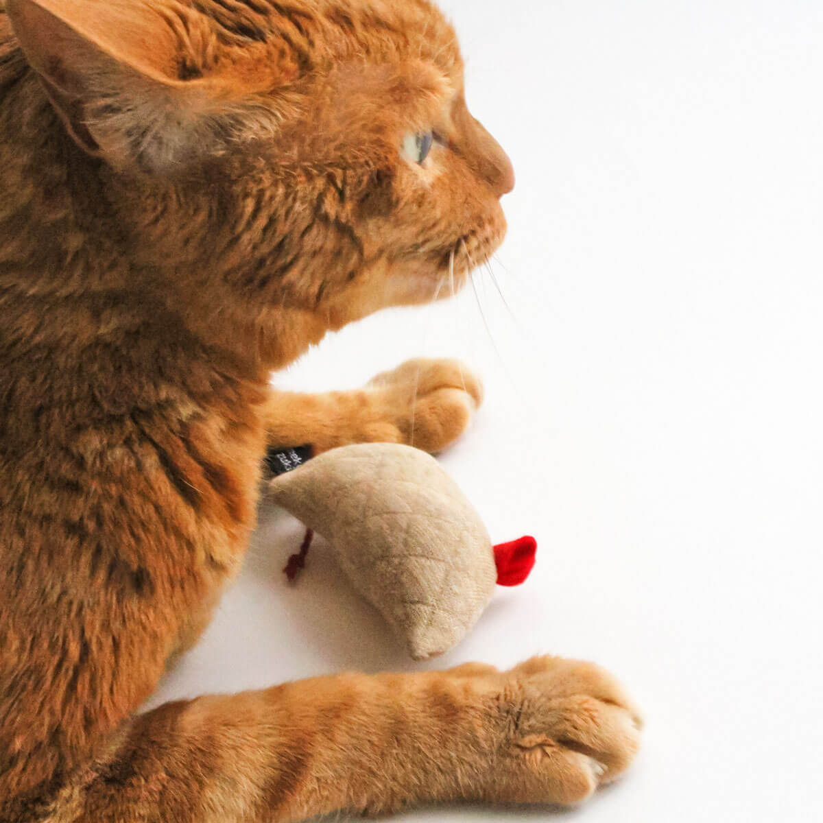 楽天市場 おもちゃ ねずみ 猫 マウス 猫用品の通販nekozuki ねこずき