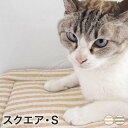 マット 猫 ベッド ozabu おざぶ スクエア S 日本製