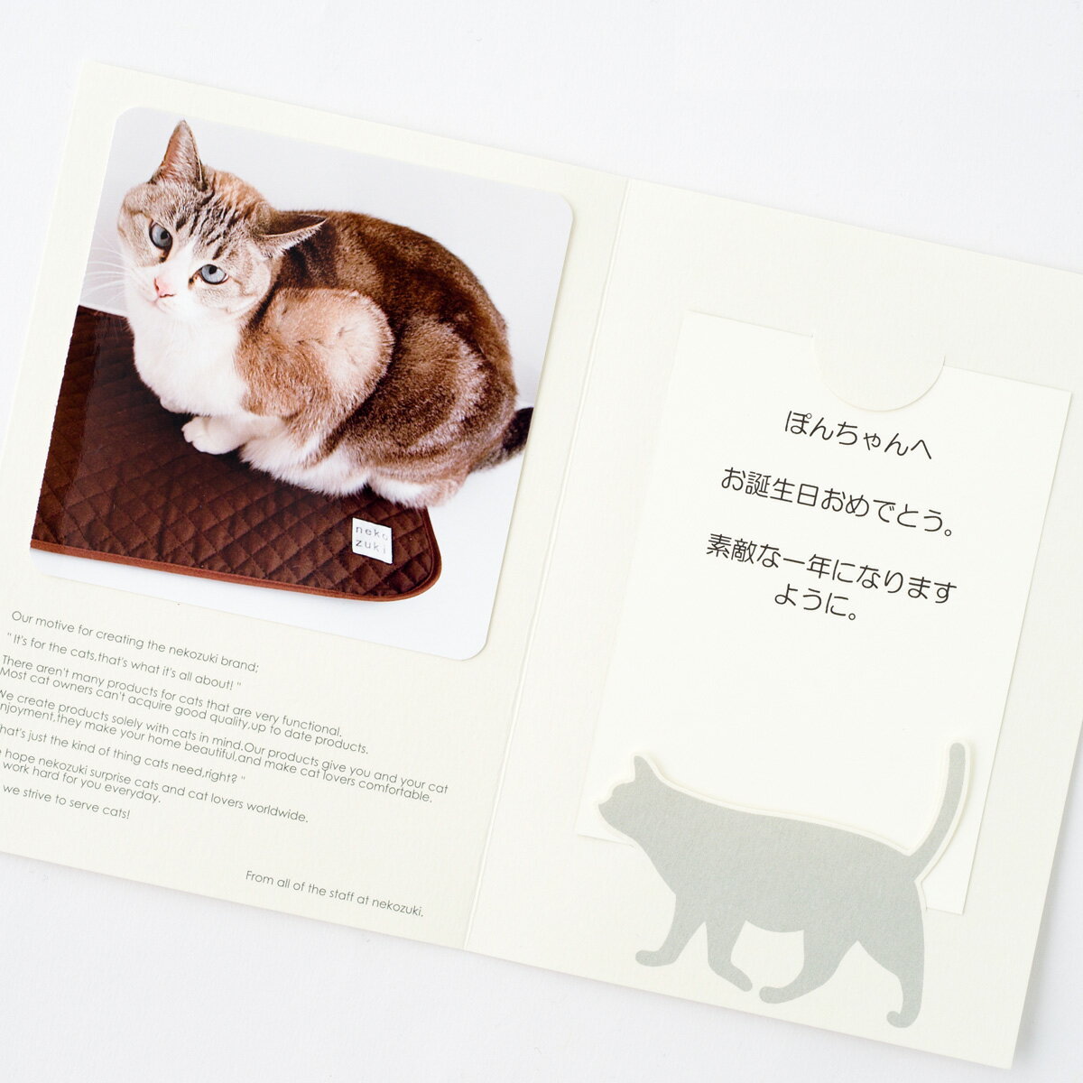 ギフトメッセージ　メッセージカード　猫　バースデーカード　台紙　セット