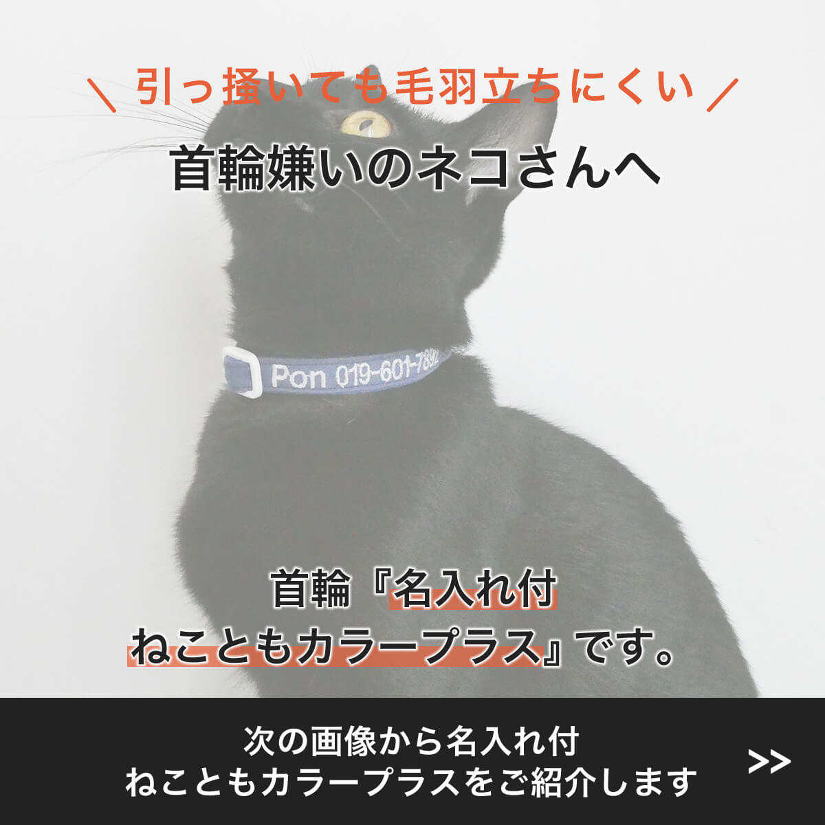 猫 柔らかい 軽い首輪 名前と電話番号を刺繍 迷子札 [ねこともカラー.プラス 名前入り ] ストレスフリー 日本製 布 フェルト 毛羽立ち防止 迷子防止 安全 セーフティバックル 防災 子猫 成猫 脱走対策 シンプル 軽量 ストレス軽減 国産 鈴なし 可愛い 色選べる 猫の首輪 2