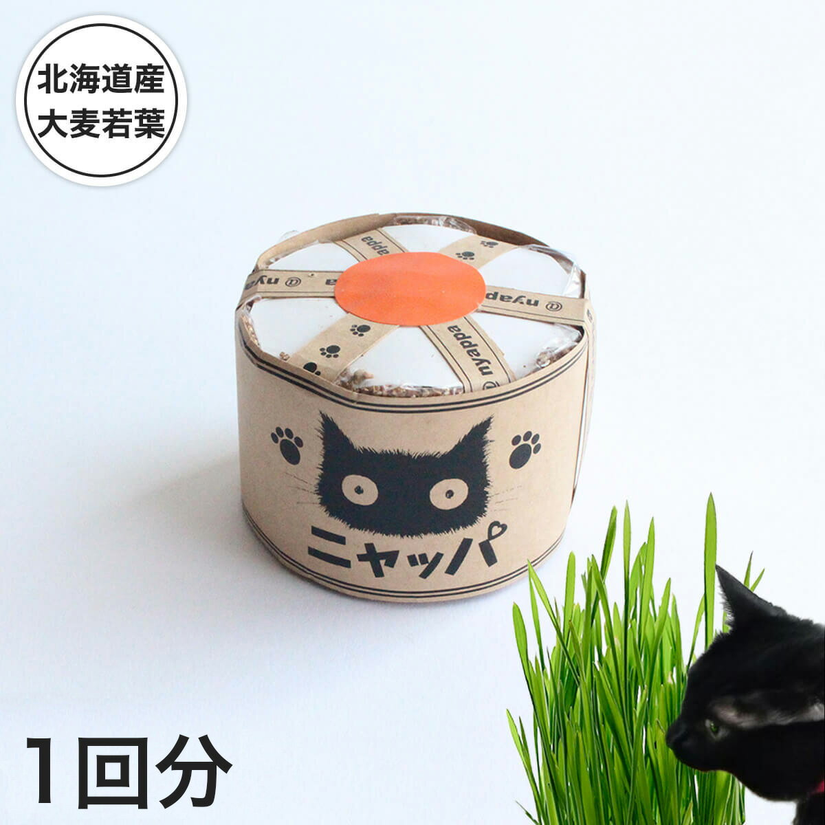 楽天猫用品の通販nekozuki（ねこずき）猫草 種 国産 有機栽培 セット 猫 ニャッパ ミニ 1回分 無農薬