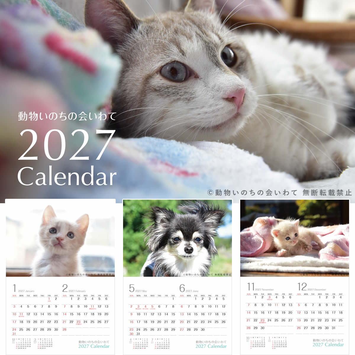 保護猫 支援付き 猫 犬 [動物いのちの会いわて カレンダー 2027 卓上 壁掛け] 売上の一部が ...