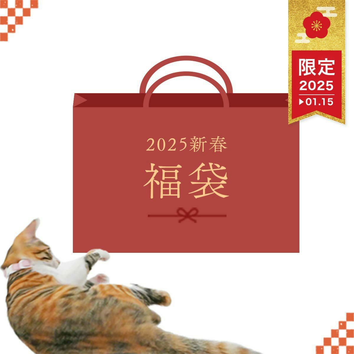【1/1販売開始・お正月・数量限定】猫 福袋 2025新春 お楽しみ福袋 おもちゃ 食器 お昼寝マット等のサムネイル