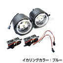 純正風 CCFLイカリング付き ガラスフォグランプ エルグランド E51 日産 ブルーリング 青 H8/H11バルブ対応 純正交換式 【HIDキット 等 ヘッドライトとの相性抜群】(2)