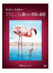 【ポイント10倍】ディズニーネイチャー／フラミンゴに隠された地球の秘密 (本編78分)[VWDS-6854]【発売日】2019/7/17【DVD】