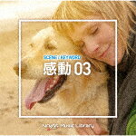 （BGM）／NTVM　Music　Library　シーン・キーワード編　感動03[VPCD-86643]【発売日】2022/3/23【CD】