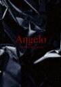 商品名 Angelo／CONNECTED　NEW　CIRCLES 発売日 2022/4/27 メディア DVD 定価 13200 品番 IKCB-80031 JAN 4582154682272 その他情報 コメント Angelo、無期限活動休止ラストライブ、Angelo“CONNECTED NEW CIRCLES”2daysを映像化。 (C)RS ※収録曲につきまして全ての曲目が表示されていない場合がございます。詳細は店舗へお問い合わせくださいませ。【検索キーワード】Angelo&nbsp;CONNECTED　NEW　CIRCLES&nbsp;CONNECTED NEW CIRCLES&nbsp;コネクテッドニュー サークルズ&nbsp;ご注文いただく前に必ずご確認ください ■■■■■■■■■■■■■■■■■■■■■■■■■■■■■■■■■■■■■■■■■■■■■■■ 当店は複数のサイトで商品を併売しているため、出品時点で在庫が切れている場合がございます。 そのため、お買い物かごへ入れた時点で、商品の確保・出荷・お届けをお約束するものではございません。 在庫切れとなった場合はメーカーへ取り寄せをかけるため、納期が通常よりかかる場合がございます。 また、メーカー品切れにより商品をご用意できない場合はご注文をキャンセルさせていただきます。 ＋＋＋お届け日・お届け時間のご指定はできません。 ＋＋＋複数の商品をまとめてお買い上げいただきました際、一括発送となります。 ご予約商品が含まれておりますと、最も遅いご予約商品の発売に合わせた発送となります。 ◇◇ご注文後のキャンセルについて◇◇ ご注文確定後のお客様ご都合によりますキャンセルは原則お受け致しておりません ご注文の際は商品、発売日、ご配送方法などをご確認の上、ご注文下さいますようお願い申し上げます。 ◇◇送料無料対象商品のご注意点◇◇ 送料無料商品及びキャンペーンによります送料無料の場合の発送方法は通常メール便となっております。 代金引換でのご決済の場合は送料対象外となりますので、予めご了承の程お願い申し上げます。 ※一部高額商品につきまして弊社都合にて代金引換のご決済をお断りする場合がございます。 ■■■■■■■■■■■■■■■■■■■■■■■■■■■■■■■■■■■■■■■■■■■■■■■