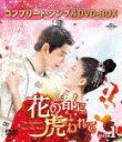 花の都に虎(とら)われて〜The Romance of Tiger and Rose〜 BOX1 <コンプリート・シンプルDVD−BOX> (期間限定生産版/本...