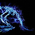 SUPER BEAVER／儚くない (通常盤/)[SRCL-12555]【発売日】2023/6/28【CD】