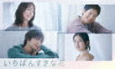 いちばんすきな花　－ディレクターズカット版－　DVD－BOX[TCED-7273]【発売日】2024/6/14【DVD】