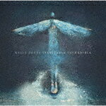 С٥㤨֥꡼硼󥺡֥ͥ롦󥯥ǥ֥ (䳫Ͼ/[SICX-199]ȯ2024/5/3CDۡפβǤʤ2,640ߤˤʤޤ