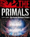 祖堅正慶,THE PRIMALS/THE PRIMALS Live in Japan − Darkest Before Dawn (215分/)[S...