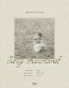 Kelly Reichardt: Six Films/ケリー・ライカート Blu−ray Collection (本編560分/)[BSZD-830...