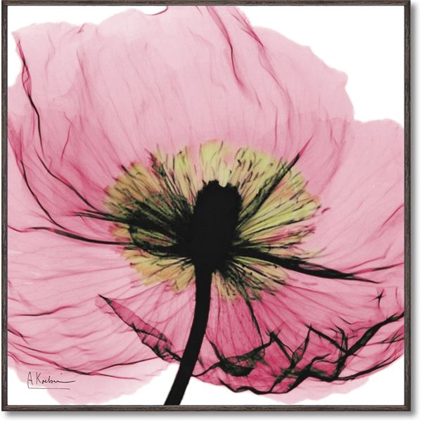 ユーパワー X-RAYキャンバスアート 「ピンクポピー」(スクエアSサイズ)(3)