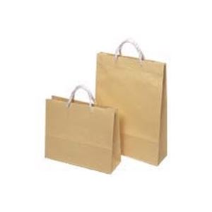 （まとめ）東京ユニオン ペーパークラフト 604 小 10枚入 【×3セット】