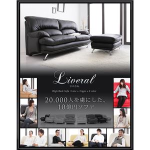 【ポイント10倍】ソファーセット Bセット(2人掛け+オットマン)【Liveral】ダークブラウン スチール脚 ハイバックソファ【Liveral】リベラル【代引不可】