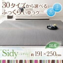ラグマット 191×250cm【Sidy】ブラウン 30タイプから選べる国産ふっくらい草ラグ【Sidy】シディ【代引不可】