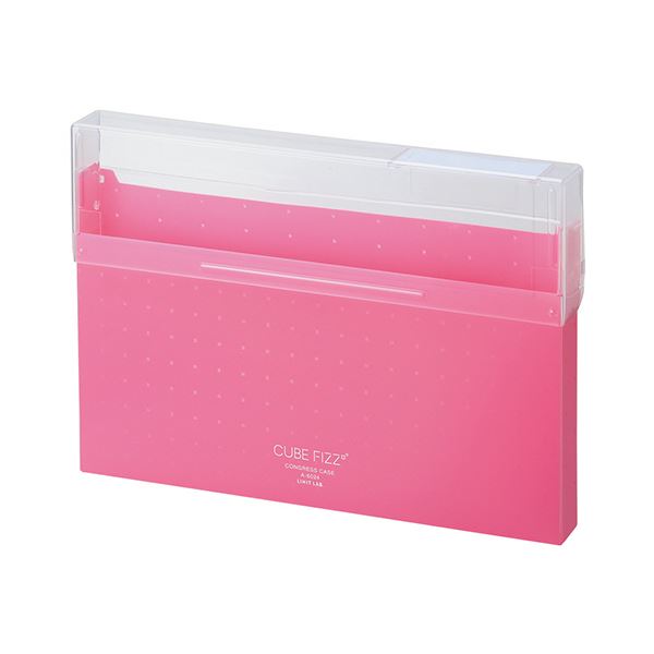 （まとめ）リヒトラブ CUBE FIZZコングレスケース A4 ピンク A-6024-12 1個【×3セット】(3)