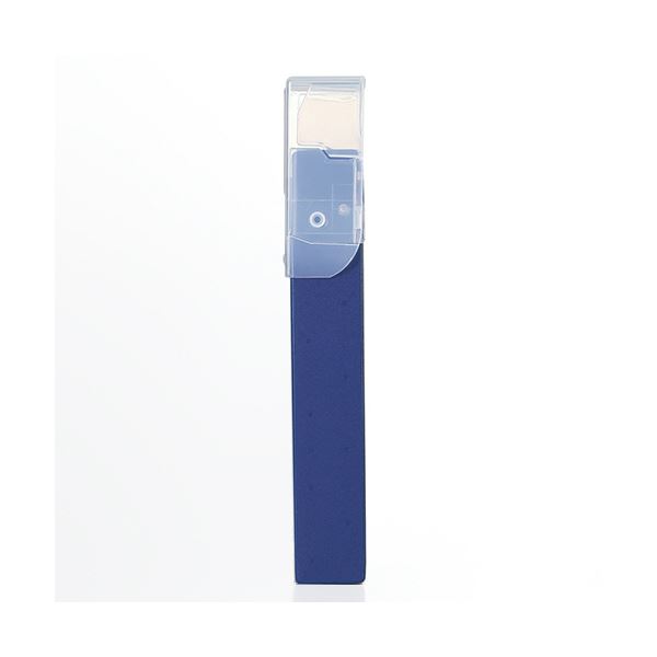 (まとめ）リヒトラブ CUBE FIZZコングレスケース A4 ピンク A-6024-12 1個【×30セット】