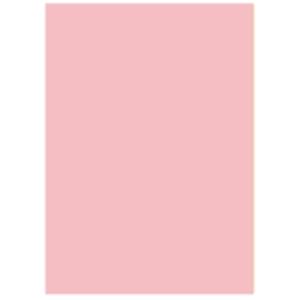北越製紙 カラーペーパー/リサイクルコピー用紙 【A4 500枚×5冊】 日本製 ピンク