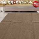 フリーカットができる 抗菌 防臭 防炎カーペット 絨毯 / 江戸間 2畳 176×176cm ブラウン / 洗える 日本製 『ウェルバ』