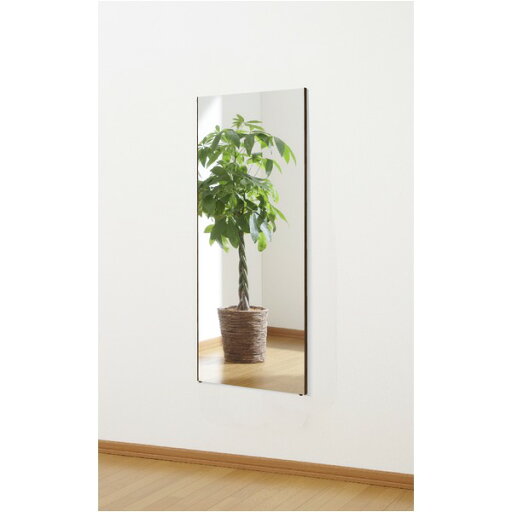 割れない 姿見鏡 【ショート 40×100×2cm シャンパンゴールド】 日本製 プロ仕様 両サイド飾縁(幅0.5cm) 『REFEX リフェクス』 割れない 姿見鏡 【ショート 40×100×2cm シャンパンゴールド】 日本製 プロ仕様 両サイド飾縁(幅0.5cm) 『REFEX リフェクス』