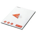 (まとめ) 長門屋商店 Color Paper A4 特厚口 白 ナ-3401V 1冊(100枚) 【×5セット】(3)