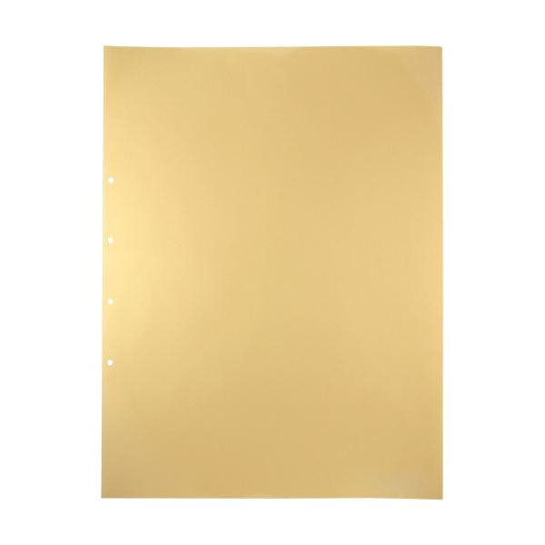 (まとめ) キングジム デラックス透明ポケットA2タテ 2・4穴 107D 1パック(10枚) 【×10セット】