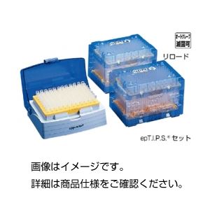 (まとめ)エッペンスタンダードチップ 100~5000 入数:100本×5袋【×5セット】
