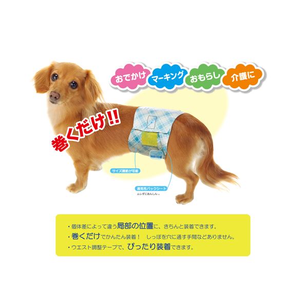 男の子おむつ にお徳な大容量パックが新登場 マナーパンツ トイレ用品 ポイント10倍 犬用品 まとめ 男の子のマナーおむつビッグp小型犬 用42枚 ペット用品 6セット サイバーベイ 男の子おむつ にお徳な大容量パックが新登場 マナーパンツ トイレ用品 ポイント10倍 犬用品 まとめ 男の子のマナーおむつビッグp小型犬 用42枚 ペット用品 6セット サイバーベイ