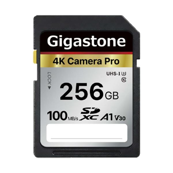 Gigastone SDXC 256GB V30 UHS-1 U3 A1 GJSX-256GV3A1 1