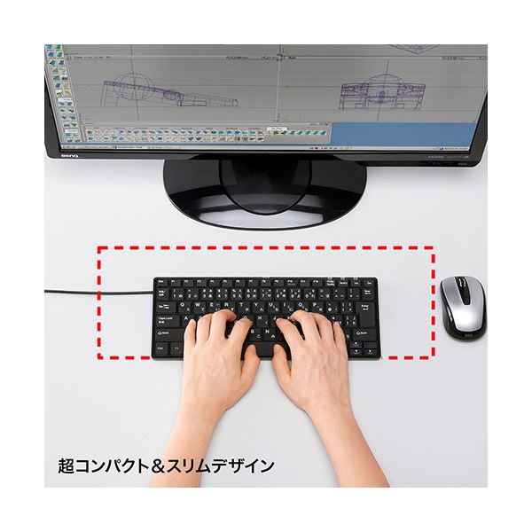 サンワサプライ USBスリムキーボードブラック SKB-SL18BKN 1台