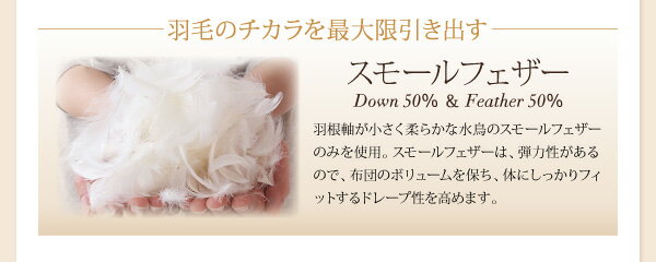【ポイント10倍】【単品】掛け布団クイーンワインレッド9色から選べる!羽毛布団グースタイプ掛け布団